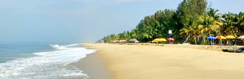 Alleppey Beach