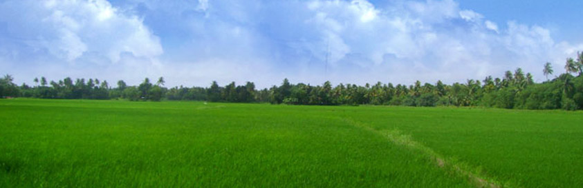 Kuttanad
