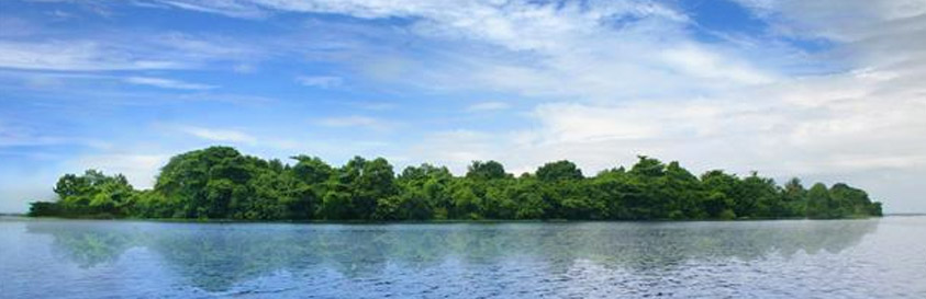 Pathiramanal Islanad